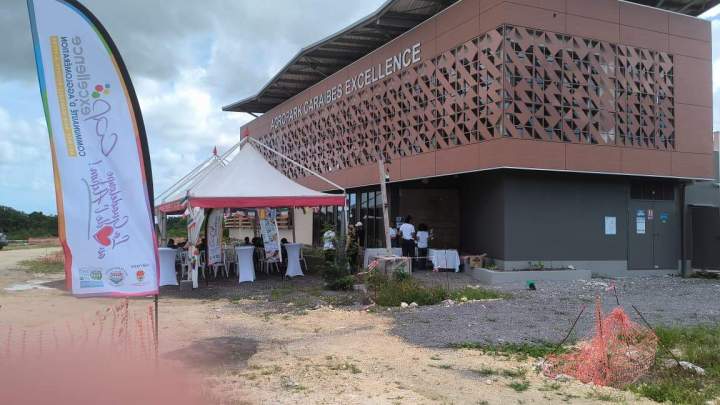 Surveillance AGROPARK - Les Abymes