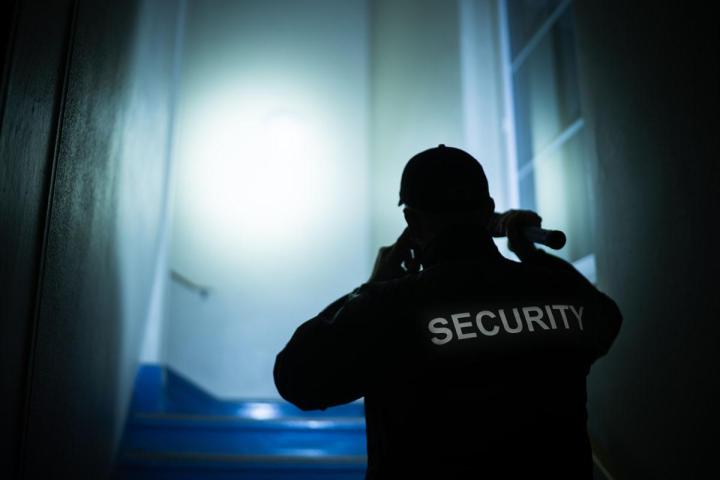 Agent de surveillance Basse-terre